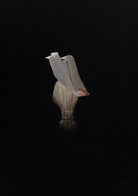 work_image_Object Series - 04_Nonsenso 